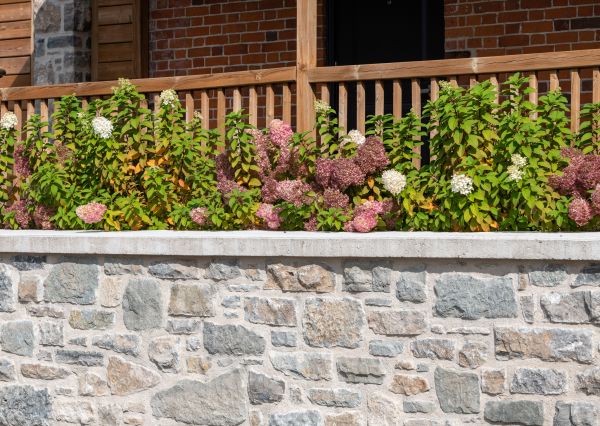 Rock Wall Refurbishment