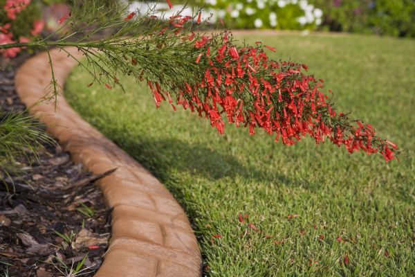 Brick Edging in Fort Collins
