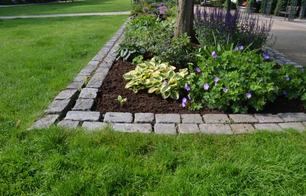Stone Edging Installation in Fort Collins
