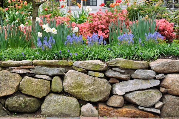 Stone Wall Hardscaping in Fort Collins