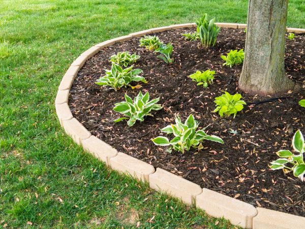Stone Border Installation in Fort Collins